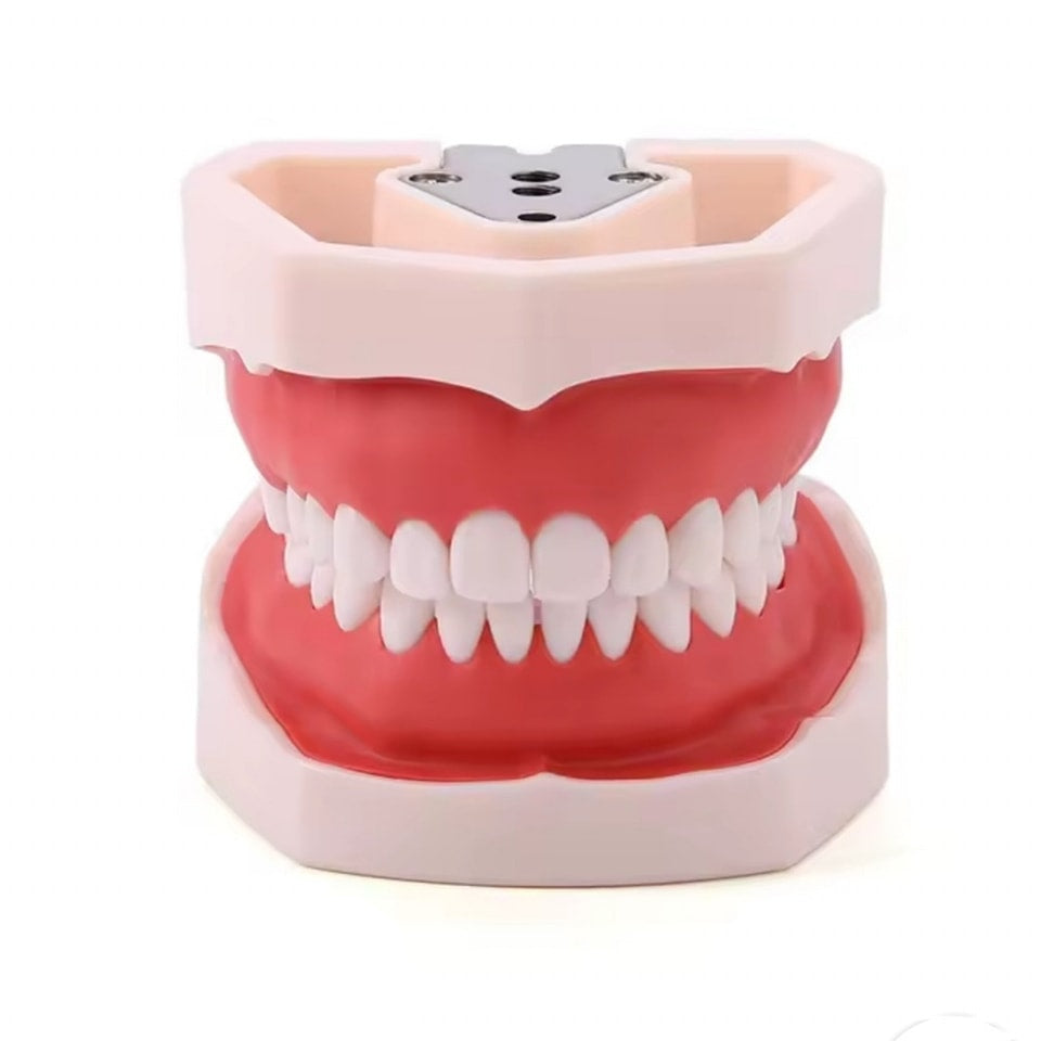 Maqueta Demo T8012