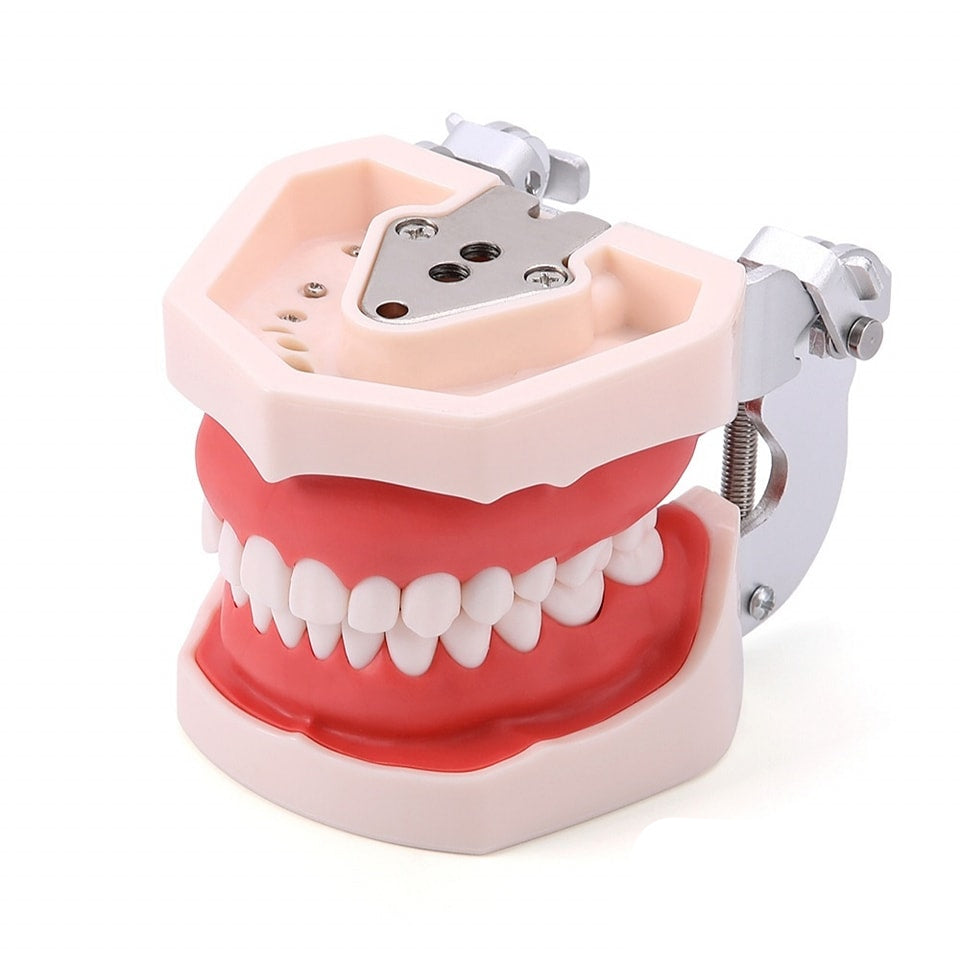 Maqueta Demo T8012