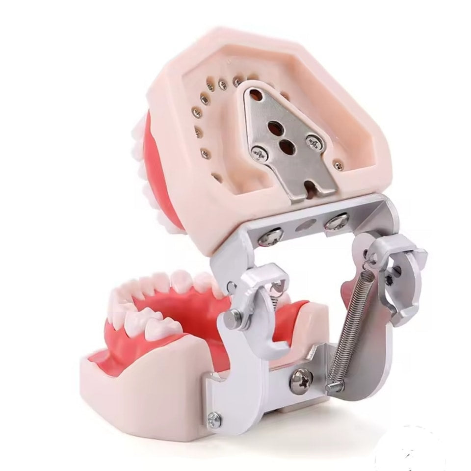 Maqueta Demo T8012