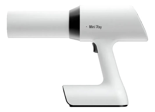 MINI RAY